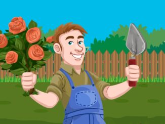 Tuinonderhoud