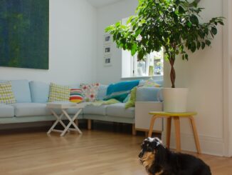 2 vloeren vergeleken; welke past het best bij u, laminaat of PVC?