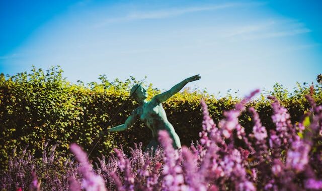 Tips bij het kiezen van de perfecte haag voor jouw tuin