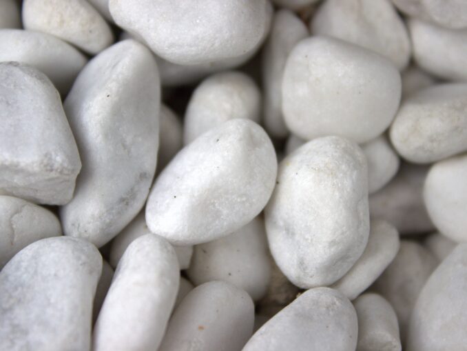 Thuja en Castle Grind