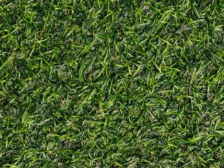 kunstgras