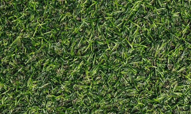kunstgras