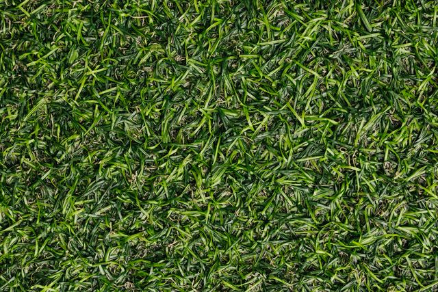 kunstgras